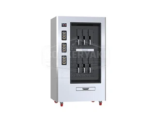 Double-Deck Electric Grilled Fish Oven, 6 Fish at a Time