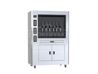 Cabinet Electric Grilled Fish Oven, 6 Fish at a Time