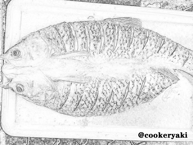 Grilled Fish Making Big Secret, Grilled Fish Equipment Maker - Cookeryaki Grilled Fish Making Big Secret, Grilled Fish Equipment Maker - Cookeryaki