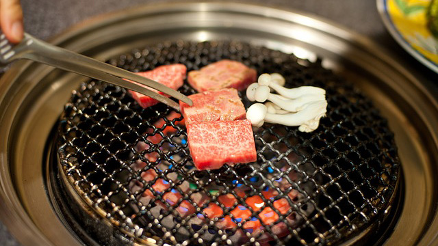 Japanese Style Grill - Electric Griddle & Cast Iron Charcoal Grill