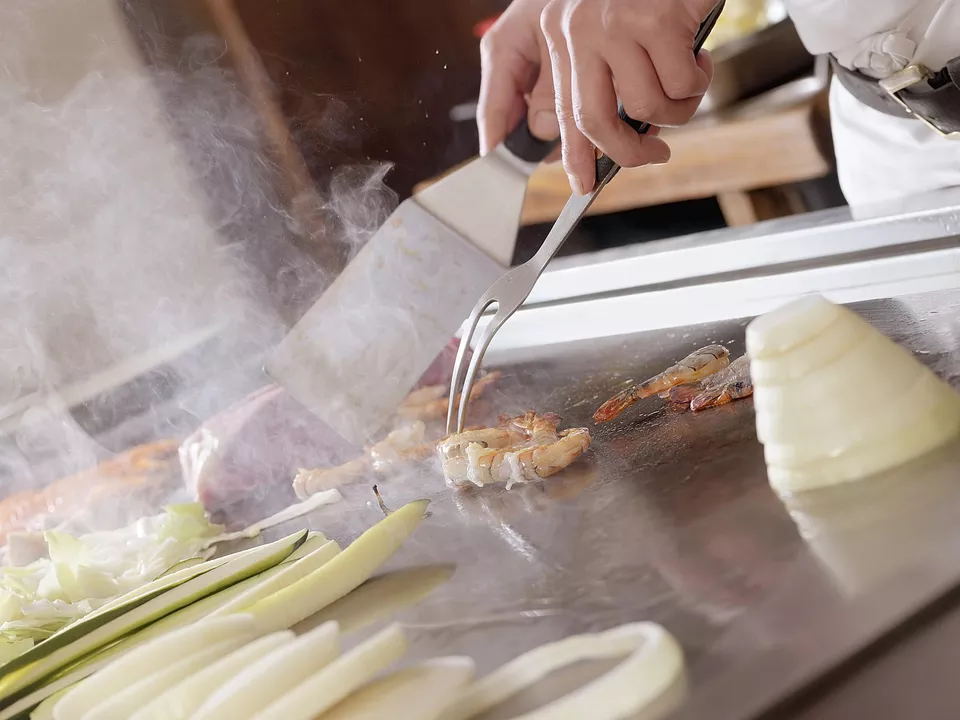 The Japanese Grill | Large Teppanyaki Grill