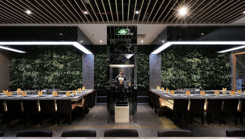 price of teppanyaki table | cost of using teppanyaki hibachi equipment
