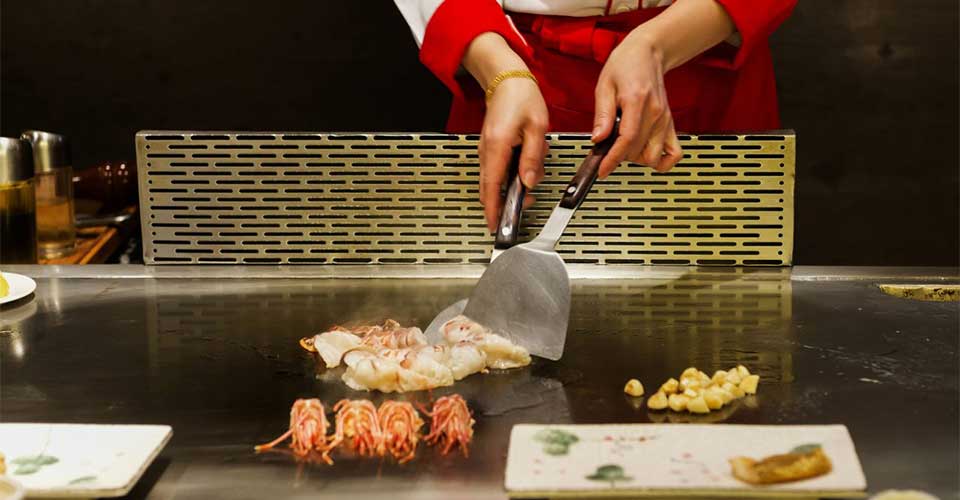 Teppanyaki Grills: The Latest Must-Have Kitchen Appliance for Food Enthusiasts