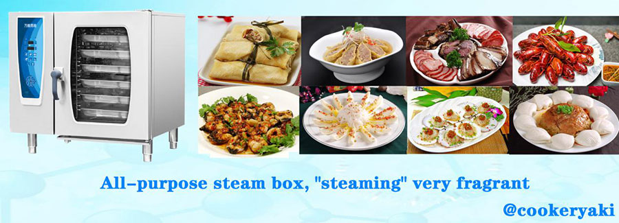 What is the real hard core commercial universal steam ovens?
