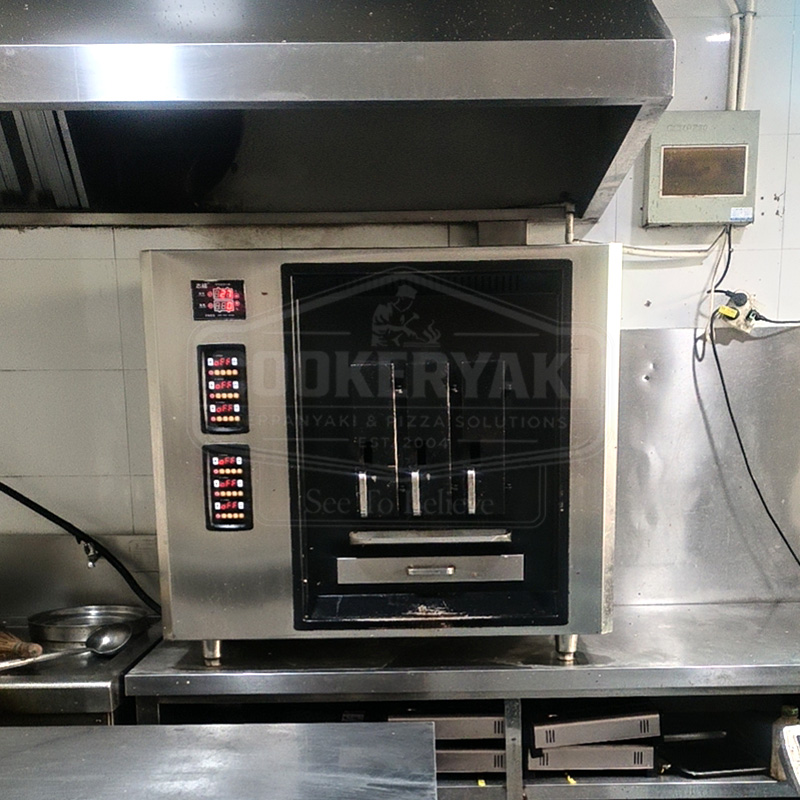 Double-Deck Electric Grilled Fish Oven, 8 Fish at a Time