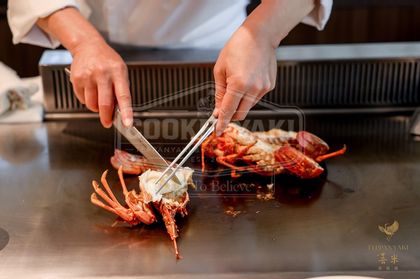 Teppanyaki Grill Table for Restaurants 14