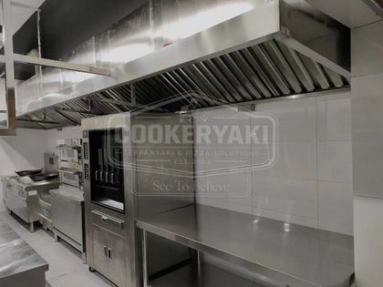 Grilled Fish Oven 10