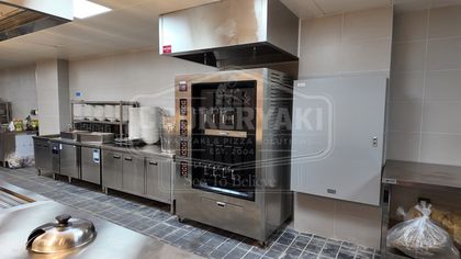 Grilled Fish Oven 7