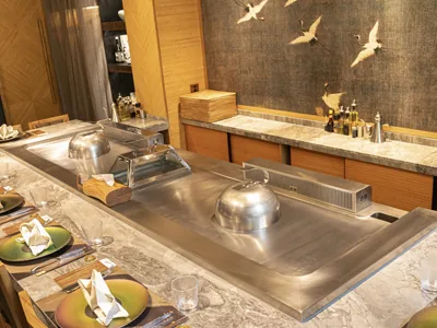 Dual-Station Teppanyaki Grill Table