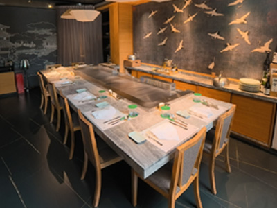 Rectangular Double-Station Teppanyaki Table for 10-12 Guests, Front-Blow Rear-Suction